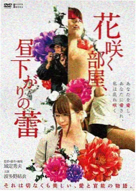 半城烟火剧集封面